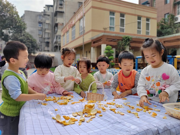 微信图片_20231028210934.jpg