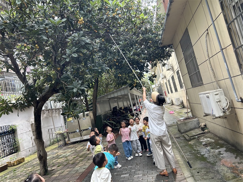 微信图片_20250521084927.jpg