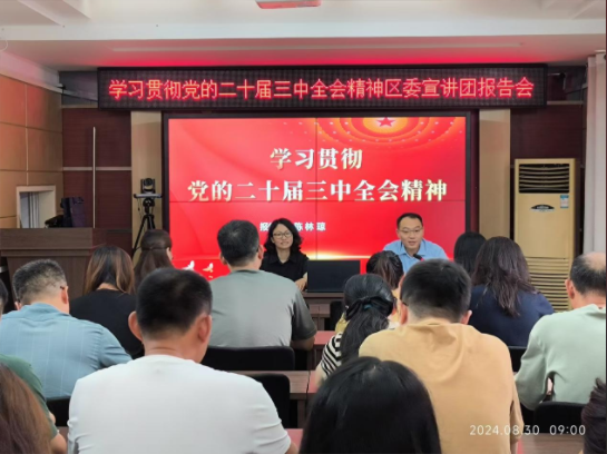 学习贯彻党的二十届三中全会精神区委宣